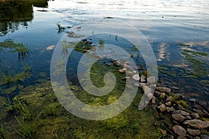 Shore of lake with stones and algae