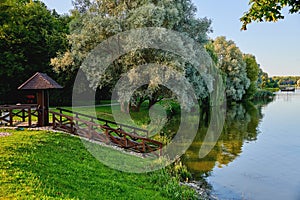 The shore of the lake surrounded by trees. View of the lake shore on a summer day. Stairs for descending to the water