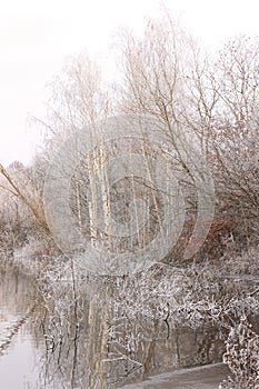 A shore on a lake in winter