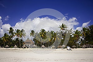 Shore line of Paje village, Zanzibar, Tanzania