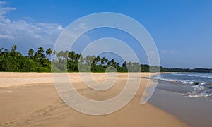 The shore line on a sandy beach