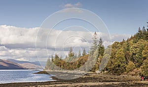 Shore of Loch Linnhe in Scotland.