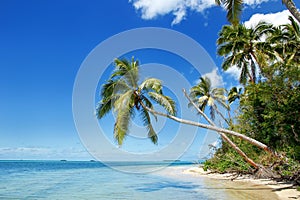 Shore of Makaha'a island near Tongatapu island in Tonga