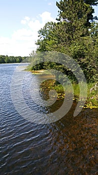 Shore on the Manistee River