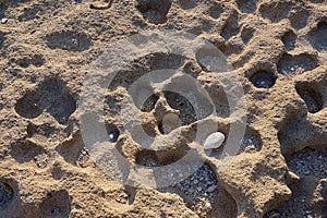 The shore of the Mediterranean Sea, flashed from the water, as a background.