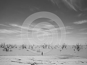 Shore of Menindee Lake