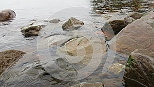 The shore of Onega Lake, the Republic of Karelia. Stones of granite and gabbro-diabase are visible from under the water