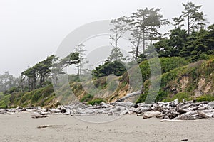 The shore of the Pacific Ocean in the fog. Sandy Beach Kalaloch is area entirely within Olympic National Park in western Jefferson