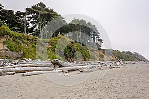 The shore of the Pacific Ocean in the fog. Sandy Beach Kalaloch is area entirely within Olympic National Park in western Jefferson