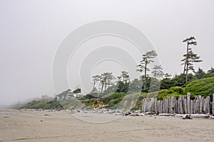 The shore of the Pacific Ocean in the fog. Sandy Beach Kalaloch is area entirely within Olympic National Park in western Jefferson