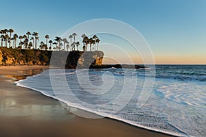 Shore with palm trees, rocks, blue sky and ocean