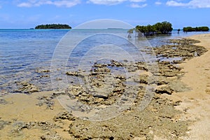 Shore of Pangaimotu island near Tongatapu island in Tonga photo