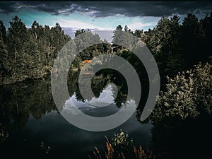 The shore of a picturesque pond in a summer green forestThe shore of a picturesque pond in a  forest