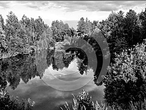 The shore of a picturesque pond in a summer green forestThe shore of a picturesque pond in a  forest