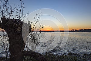 From the shore with a pollard willow you can see a beautiful sunrise above the lake Zoetermeerse plas