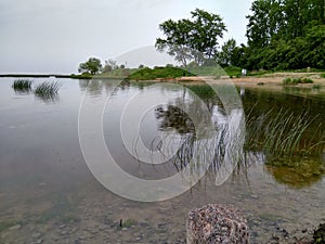 The shore of the pond in the spring, gloomy weather