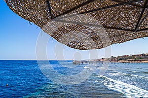 The shore of the Red sea