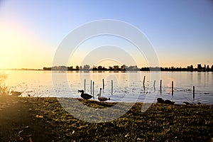 Shore of a river at sunset with mooring poles