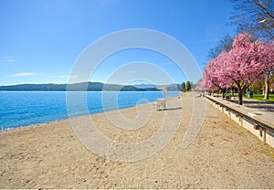 The shore and sandy beach at Independence Point in Coeur d`Alene, Idaho, USA, on a sunny spring day