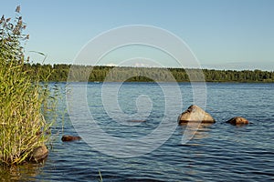 Shore of a small lake with rocks and reeds.