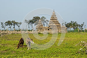 Shore temple of Mahabalipuram, India