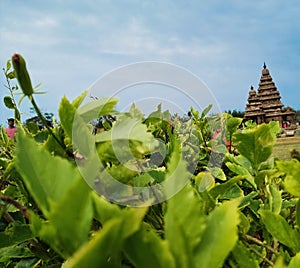 The Shore Temple is so named because it overlooks the shore of the Bay of Bengal. It is located near Chennai in Tamil Nadu,