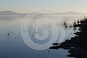 Shore of Trasimeno lake Umbria, Italy with skeletal plants in perfectly still water