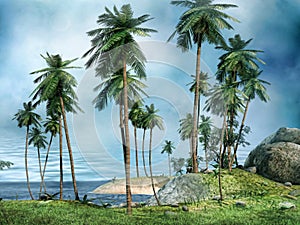 Shore of a tropical island