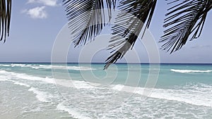 shore of the wavering Atlantic Ocean, turquoise water with a blue sky. Palm leaves in the foreground