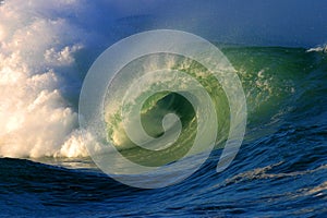 Shorebreak Surf Waves