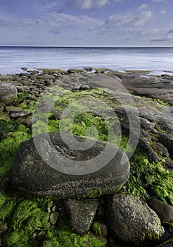 Shoreline along Northumberland Strait, Nova Scotia