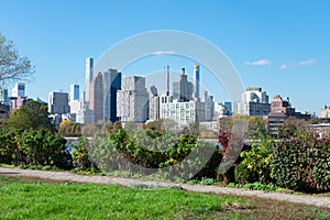 Shoreline of Astoria Queens New York with Plants looking towards the East River and the Manhattan and Roosevelt Island Skyline in