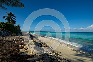 Shoreline of Bimini beach