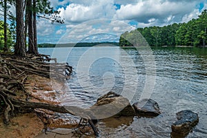 Shoreline erosion at Lake Lanier in Georgia