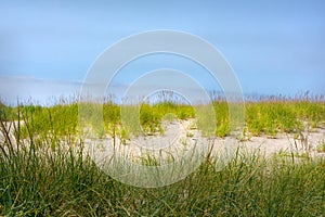 Shoreline grass border and sand dunes against blue sky