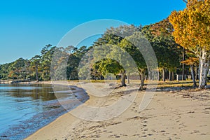 The shoreline on Hammock Bay in Freeport, Walton County, Florida