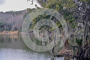 Shoreline at Kathryn Abbey Hanna Park, Duval County, Jacksonville, Florida.