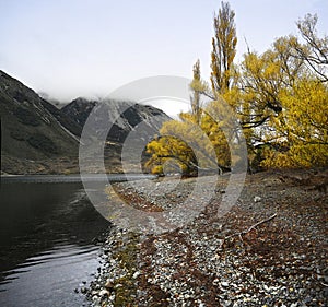 Shoreline of Lake Pearson, Canterbury in Autumn, New Zealand