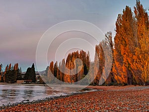 Shoreline of lake Wanaka with autumn trees after sunset