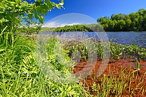 Little Horsehead Lake Landscape Wisconsin photo