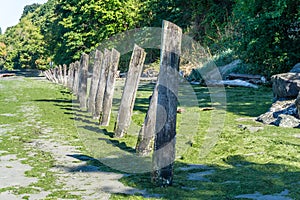 Shoreline Leaning Pilings 8