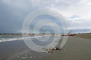 Shoreline and lifeguard boat