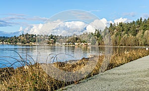 Shoreline From Lincoln Park 4