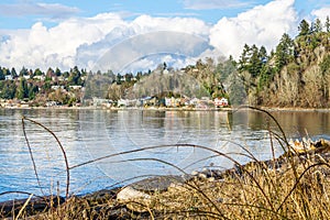 Shoreline From Lincoln Park 7