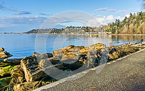 Shoreline From Lincoln Park 9