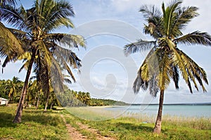 Shoreline in Mozambique, Africa.