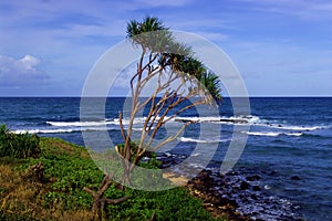 Shoreline Oahu Hawaii