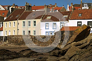 Shoreline properties photo
