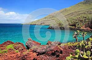 Shoreline of Rabida Island, Galapagos National Park, Ecuador