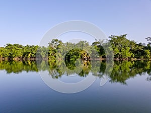 Shoreline Reflecting in the River